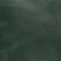 Color – Green (vintage)