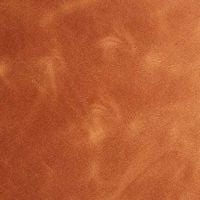 Color – Cognac (vintage)