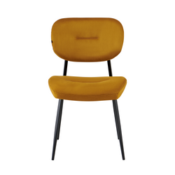 Kleur – Cognac