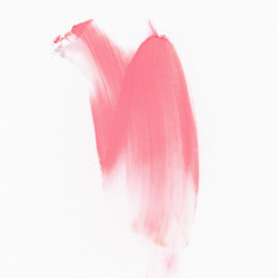 Colour – Rose