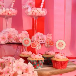 Variant – Doughnuts Set Of 24