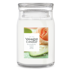 Large Jar
