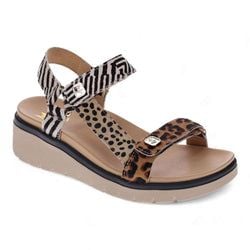 Leopard Multi