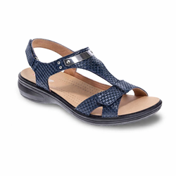 Navy Snake