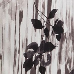 Colours – White