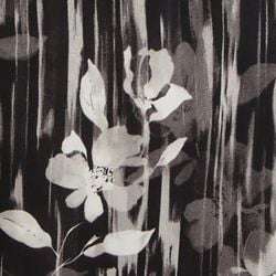 Colours – Black