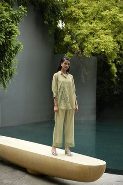 Color – Pista