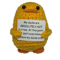 Design – Duck