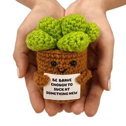 Style – Succulent