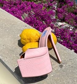 Colour – Rose