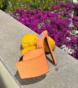 Colour – Papaya
