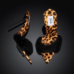 Colour – Leopard