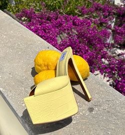 Colour – Limon