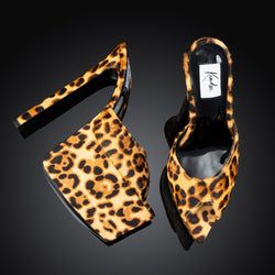 Colour – Leopard