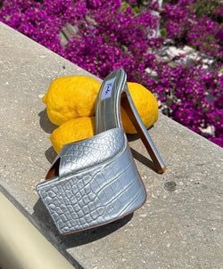 Colour – Silver