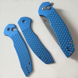 Accipiter – Scale-Blue