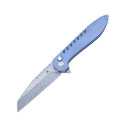T1093F1