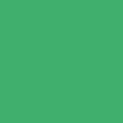 Kleur – Groen