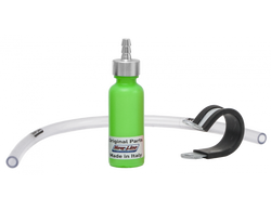 Kleur – Groen