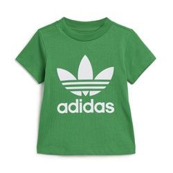 Culoare – Verde