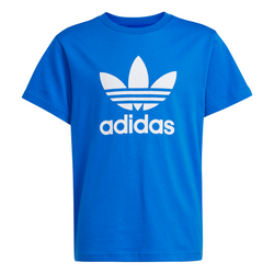 Culoare – Albastru