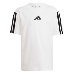 Culoare – Alb/Negru