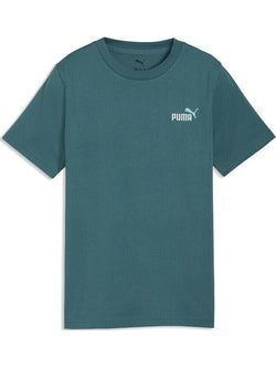 Culoare – Verde