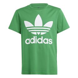Culoare – Verde