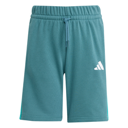 Culoare – Verde