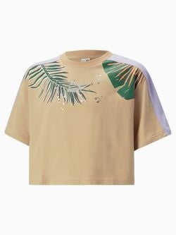 Culoare – Bej