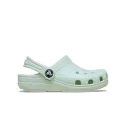Culoare – Verde