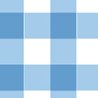 2. Choose your fabric – Blue Gingham