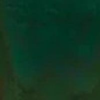 Canvas Colour – Green