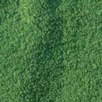 Colour – Green