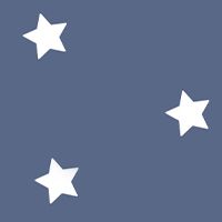 2. Choose your fabric – Navy Stars