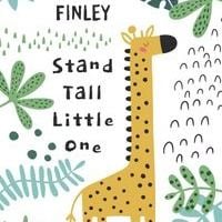 Design – Giraffe
