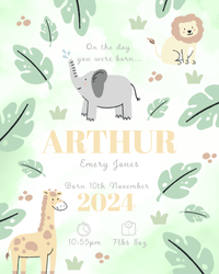 Design – Safari