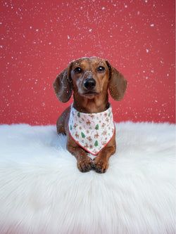 Available in – Dog