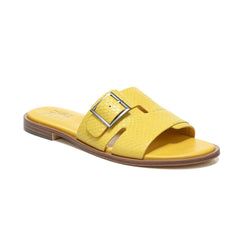 Daisy Yellow