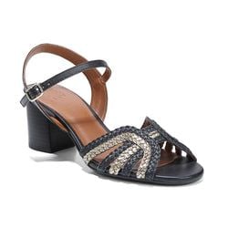 Black Multi