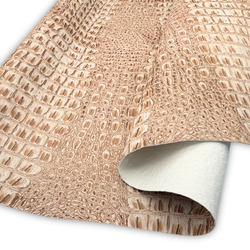 Color – Champagne