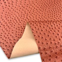 Color – Terra Cotta