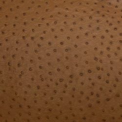 Color – Light Brown