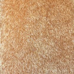 Color – Golden Brown