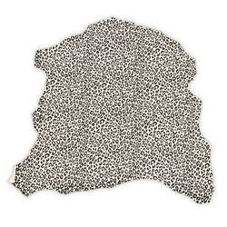 Color – Cream/Black
