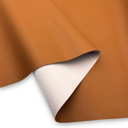 Color – Camel