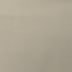 Color – Cream
