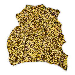 Color – Gold/Black