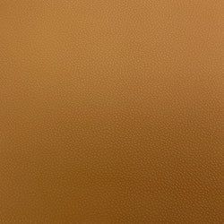 Color – Camel