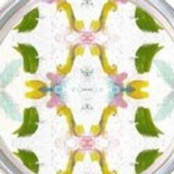 Pattern – Dogwood